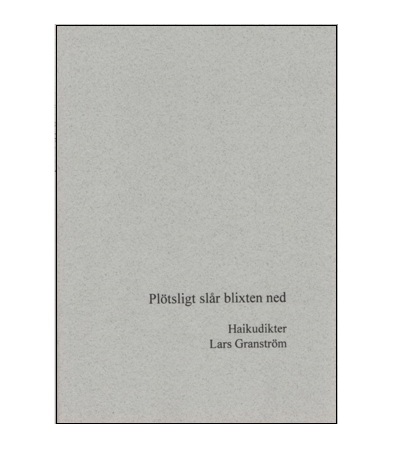 Plötsligt slår blixten ned